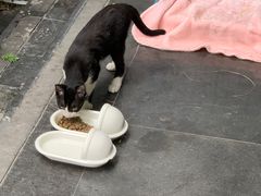 -PETKIT小佩宠物(昭化店)