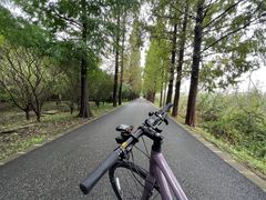 -广富林郊野公园