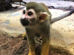 -西安秦岭野生动物园