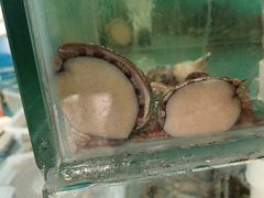 -王大厨·海鲜·家常菜