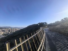 -福道