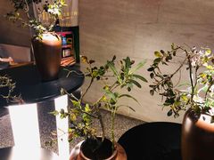 -盡膳口福跷脚牛肉火锅(北美新天地店)