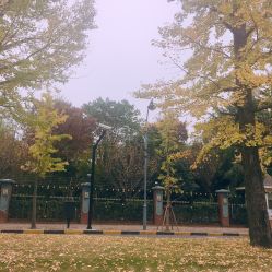 -新蝶变皮肤管理中心