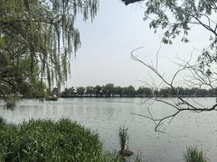 -北坞公园