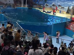 -福州罗源湾海洋世界旅游区