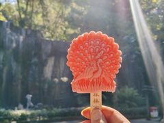 -西双版纳原始森林公园