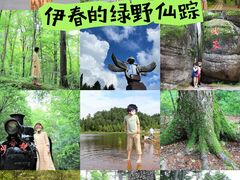 -五营红松林海景区