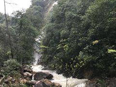 -九龙江国家森林公园