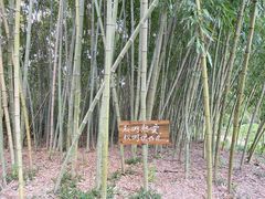 -古堰画乡景区