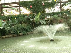 -第五季龙水凤港生态露营农场