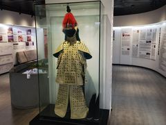 -石炮台公园