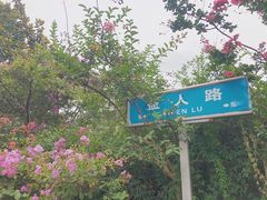 -孟家蟹包(锦绣街店)