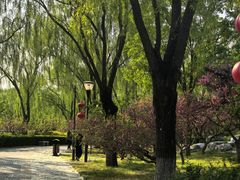 -燕郊植物园