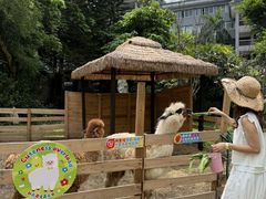 -珠海圆明新园