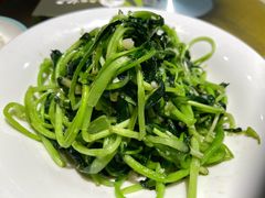 -胡杨记忆(和平路店)