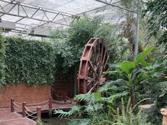 -金稼园·金平湖农家菜