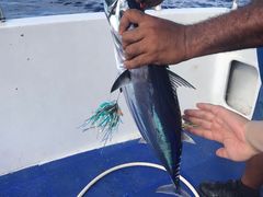 -海猎号深海拖钓