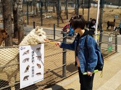 景点-大连森林动物园