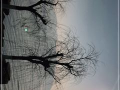 -东钱湖旅游度假区