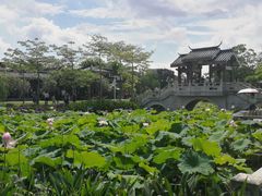 -惠州西湖丰渚园