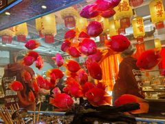 -朱光玉火锅馆(正弘城店)