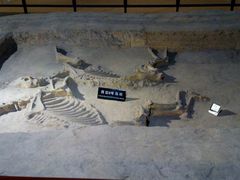 android_upload_pic-洛阳周王城天子驾六博物馆