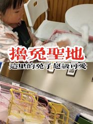 点击看大图 -萌兔星空蹦床撸兔馆