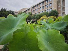 -厦门国家会计学院