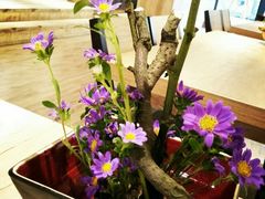 -乐领拈花溪·林涧食韵