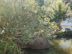 -湖南别院·美学庭院餐厅(惠阳店)