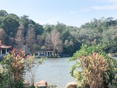 -深圳仙湖植物园-停车场