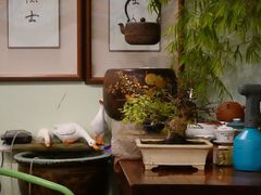 -芙蕾哥哥souffle