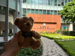 -香港大学