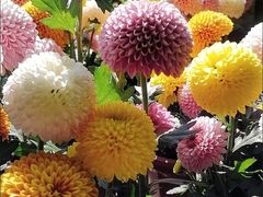 -唱客美食KTV量贩(日新路店)