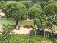 -十渡高山漂流
