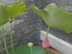 -李叔同故居纪念馆