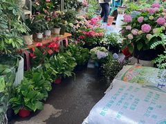 -苏州市皮市街花鸟工艺品市场