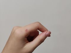 -柴犬高等学院·狗咖·柴犬售卖·宠物训练