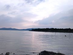 -上海市保健医疗中心