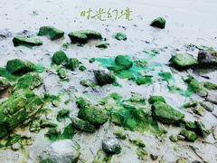 -小桂湾