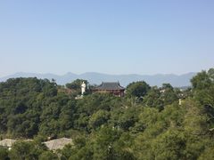 -金鸡山公园