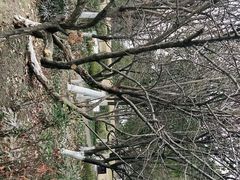 -汤山公园