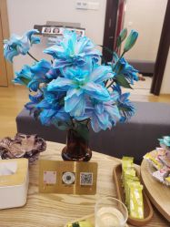 点击看大图 -ROYEA茹彦祛痘·问题肌肤修护中心