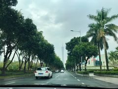 -云溪植物园