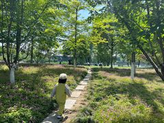 -杭州城北体育公园