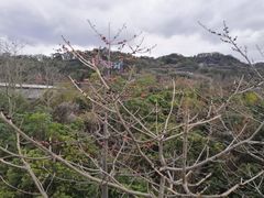 -福道
