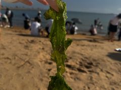 -青岛第二海水浴场