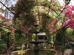 -The Grounds of Alexandria