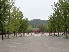 -晋祠公园
