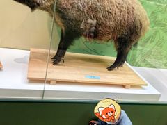 -国家自然博物馆